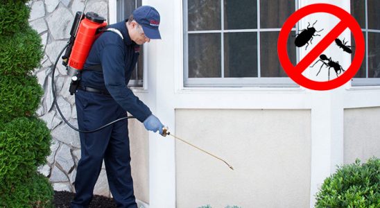 Çamardı Uçan Haşere İlaçlama böcek ilaçlama ve haşere kontrolü — ilaclama-tr.com